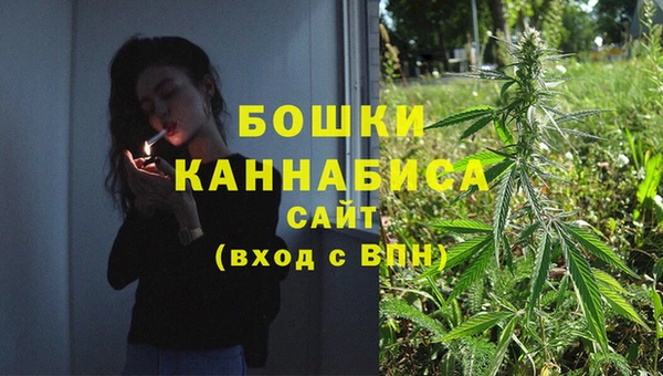 2c-b Каменка