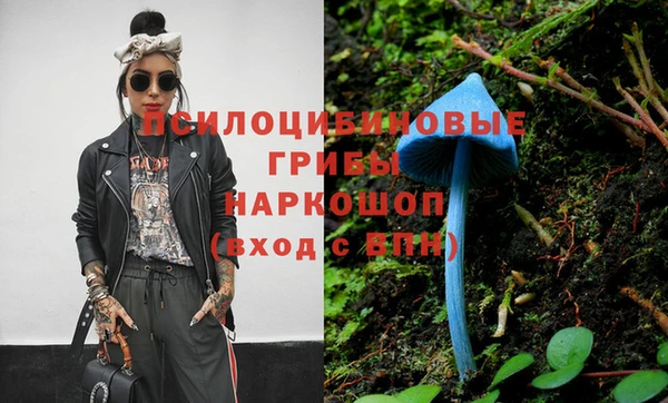 прущая мука Иннополис